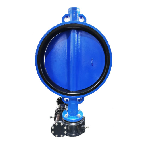 Center Line Wafer Butterfly Valve with Akzonobel Painting Disc