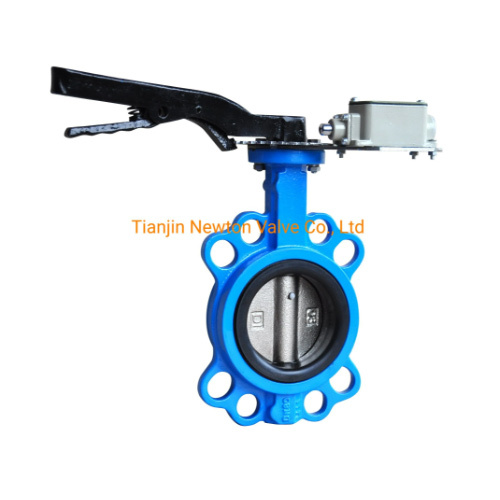 DN80 Cast Iron Wafer Type Butterfly Valve