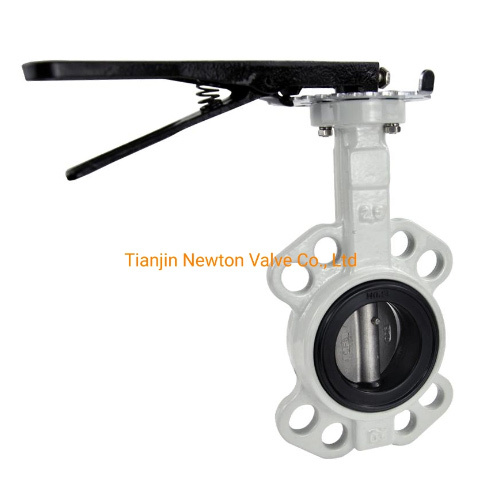 JIS10K SUS304 Body EPDM Seat Stainless Steel Ductile Iron Lever Butterfly Valve