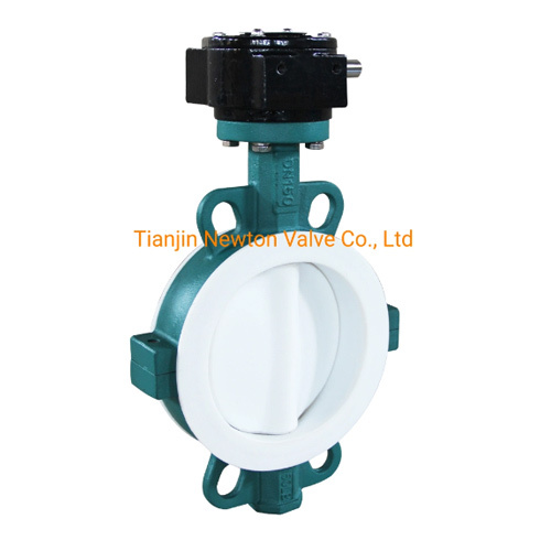 PTFE-Lined Wafer-Type Butterfly Valve with Worm Gear