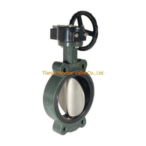 PTFE Lined Seat Handles Manual Wafer Stainless Steel Butterfly Valve
