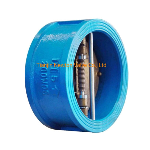 Class150 Stainless Steel Ductile Iron Dual Plate One-Way Wafer Type Flap Check Valve