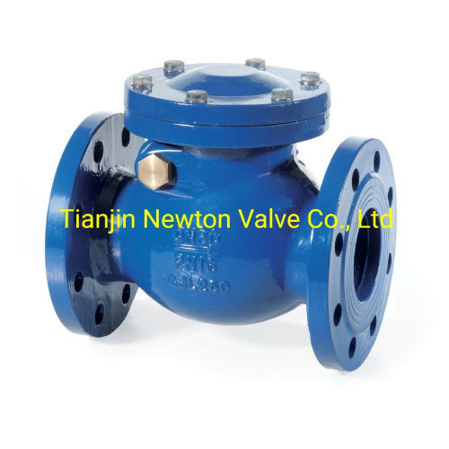 Cast Iron Carbon Steel Stainless Steel Swing Check Valve