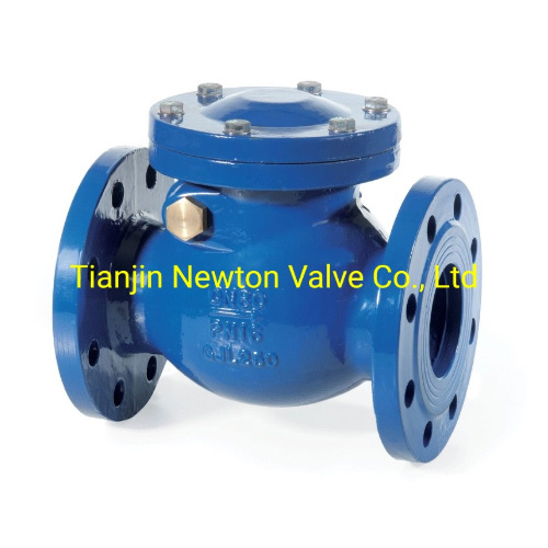 Double Flange ANSI Standard Cast Iron Ggg50 Di Swing Check Valve