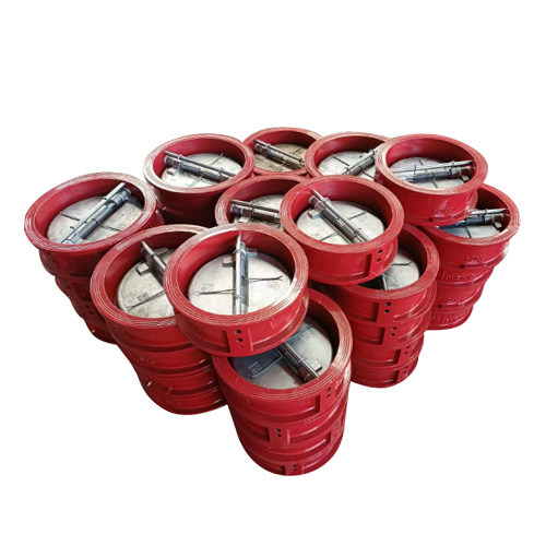 1200A Built-in Dual Plate Flap Check Valve for Water Pump System