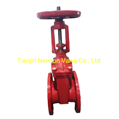 Resilient Seat Seated Double Flange Flanged Wedge Gate Valve