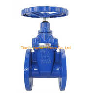Brass Bonnet Di Body Resilient Seat Gate Valve - Material: Stainless Steel