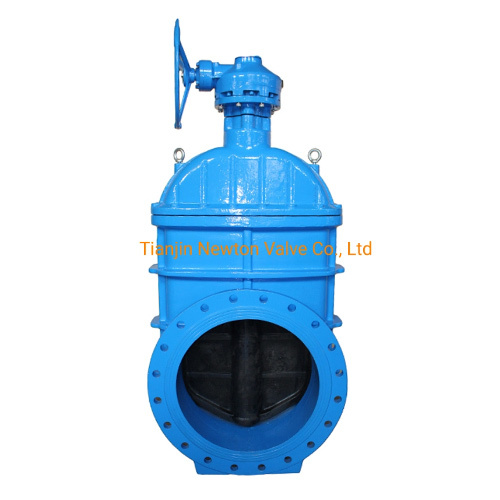 F5 BS5163 Resilient Seated Gate Valve