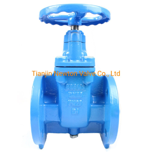 DIN3202 F4 F5non-Rising Stem Resilient Seated Flanged Gate Valve