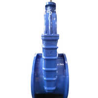 Non Rising Stem Inside Screw Rsgv Rubber Resilient Seat Wedge Gate Valve Gearbox - Material: Stainless Steel
