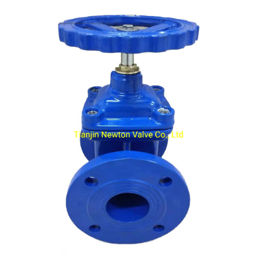 Cast Iron Flange Type Stainless Steel Industrial Gate Valve
