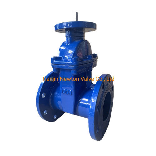 Ductile Iron Cast Iron Dark Stem Double Flange Gate Valve