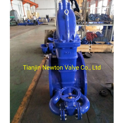 Rising Stem Double Flanged Encapsulated Wedge Gate Valve