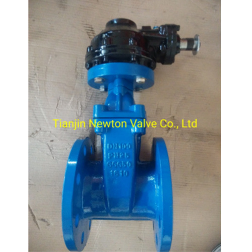 FPM Rubber Encapsulated Disc Wedged Nrs Resilient Seat Double Flanged Gate Valve