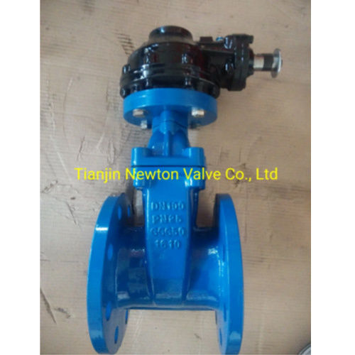 FPM Rubber Encapsulated Disc Wedged Nrs Resilient Seat Double Flanged Gate Valve