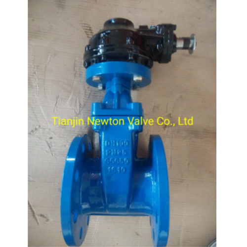 Rubber Encapsulated Disc Wedged Nrs Resilient Seat Double Flanged Gate Valve