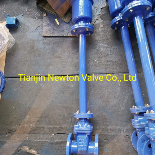 Cast Iron Resilient Soft Seated Sealing Double Flange Gate Valve