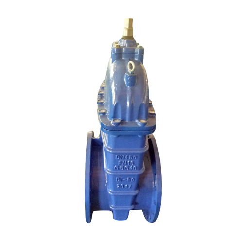 Rubber Encapsulated Wedge Nrs Resilient Seat Gate Valve Sluice Valve