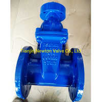 Cl150 Rubber Seat Wedge Sluice Gate Valve - Material: Stainless Steel