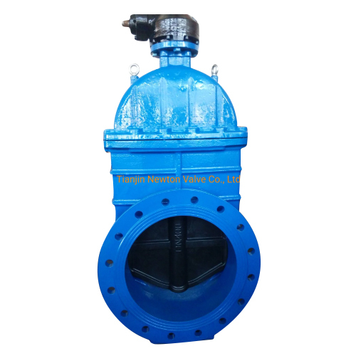 Ductile Iron Resilient Seated Gate Valve
