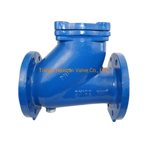 Cast Iron Y Type Strainer With Double Flange