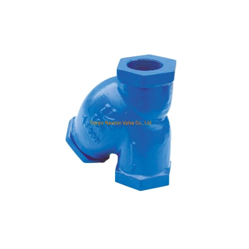 Ductile Iron Y Type Strainer With Double Flange