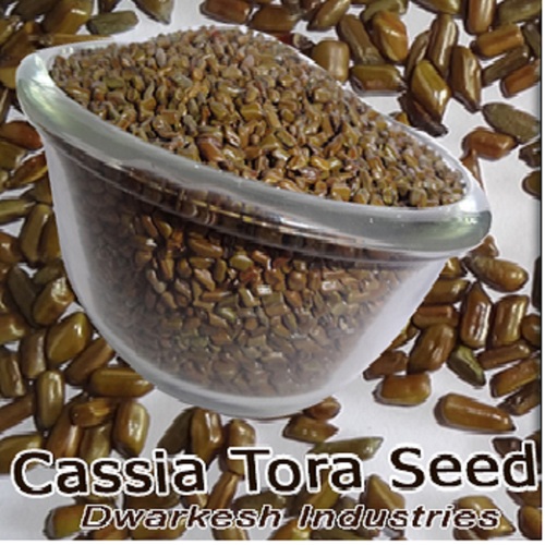 Roasted Cassia Tora Seeds