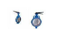 Butterfly Valve