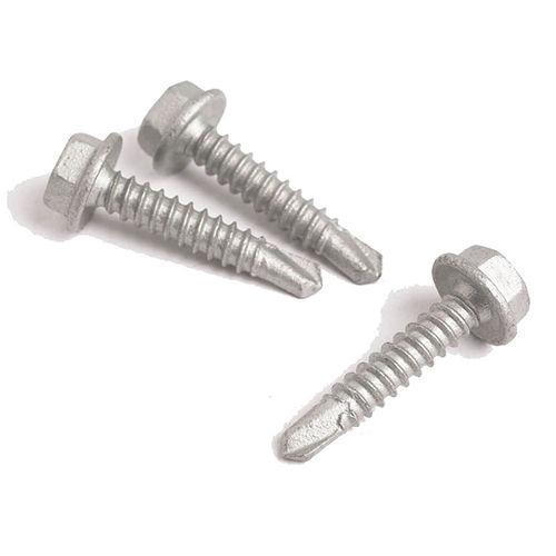 SS Screw