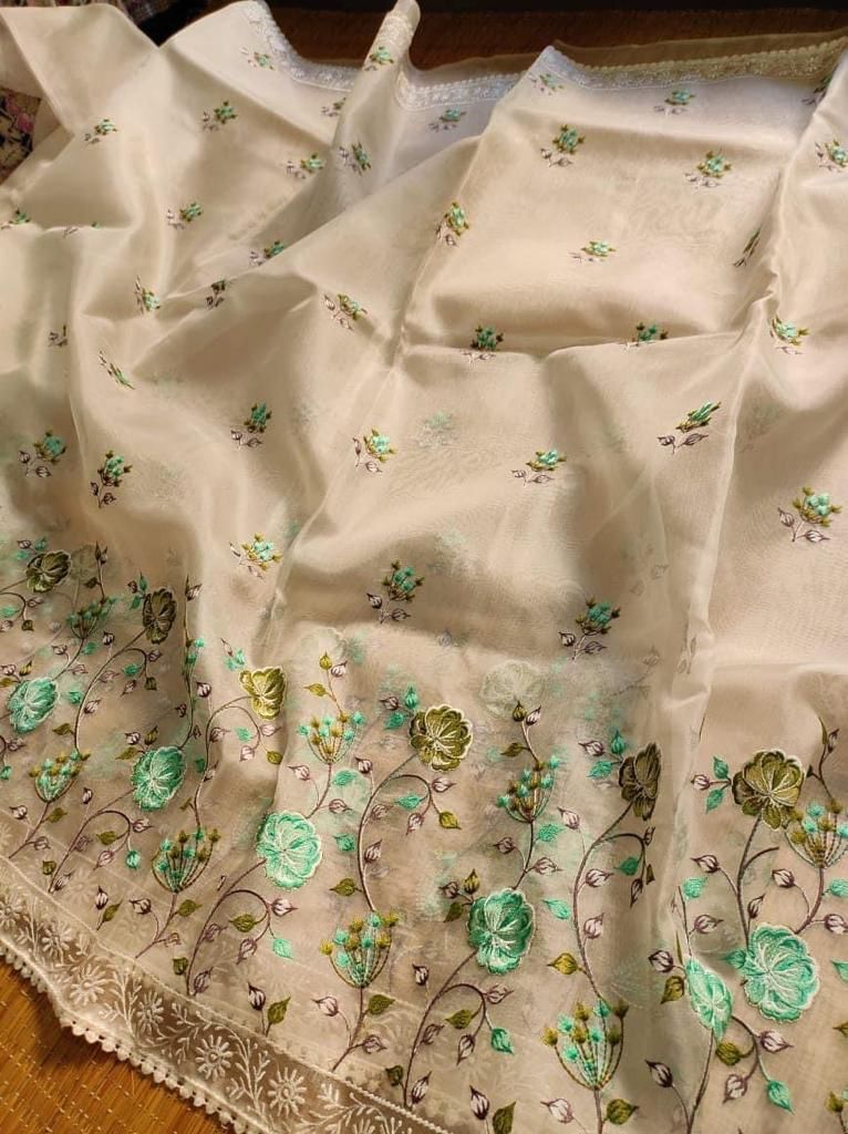 Organza Saree With Beautiful Lucknowi Embroidery