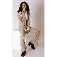 Beige & Different Colours Available Ladies Business Suit