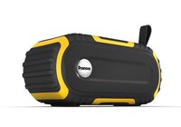 Dyanora Thunder 10 W Bluetooth Speaker (DY-BT10-01-BY)