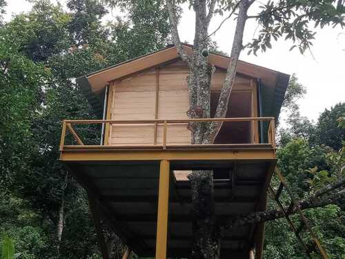 wooden tree house