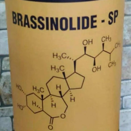 Sp Brassinolide Chemical Grade: Industrial Grade