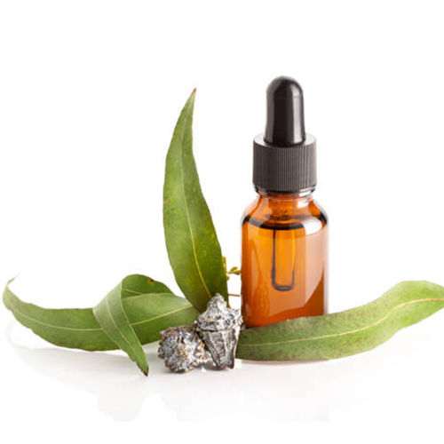 Eucalyptus Oil - Eucalyptus Globulus Essential Oil, Colorless Thin Liquid with Herbaceous and Camphorous Odor | High Purity, Steam Distilled, Soluble in Alcohol and Oils, 2-Year Shelf Life