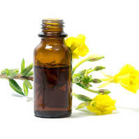 Evening Primrose Oil