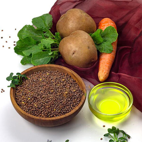 Carrot Oil