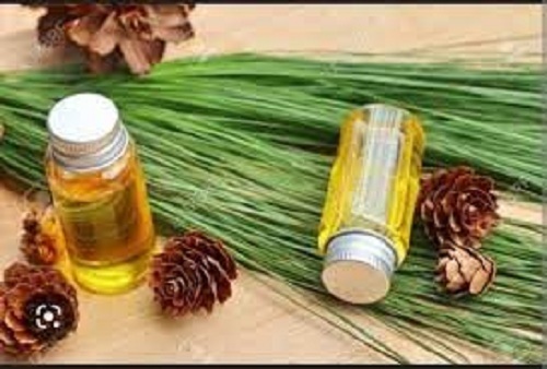 pine fragrance oil
