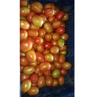 Fresh Tomato