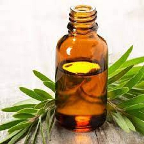 Tea Tree Hydrosol
