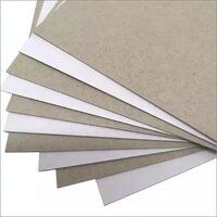 Duplex Reel Paper