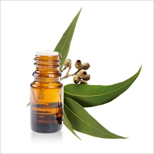 Eucalyptus Oil