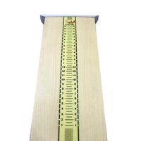 Stainless Steel Shoe Scale