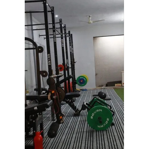 Commercial Roxan Wall Mounted CrossFit RIG