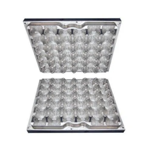 Steel Plastic Egg Tray Mould