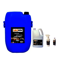 Automotive Shine Revival