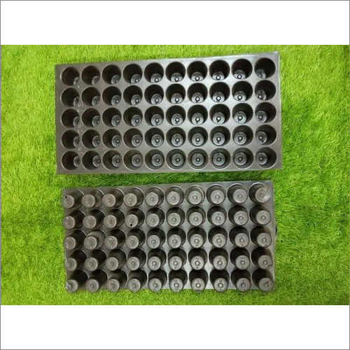 Seedling Tray 50 Cavity