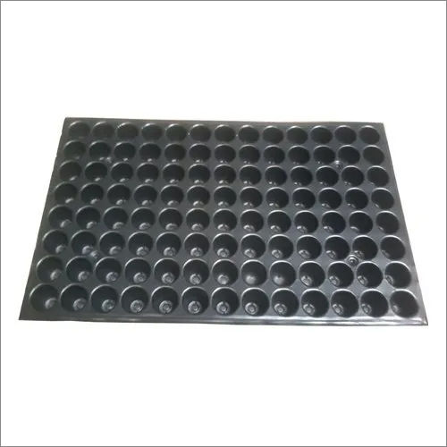 Seedling Tray 54 Cavity