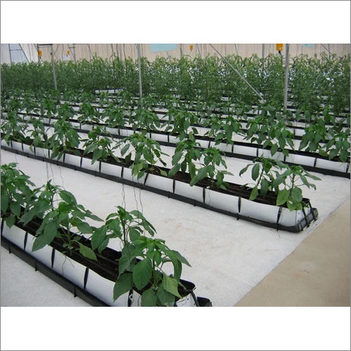 Soilless Cultivation Service