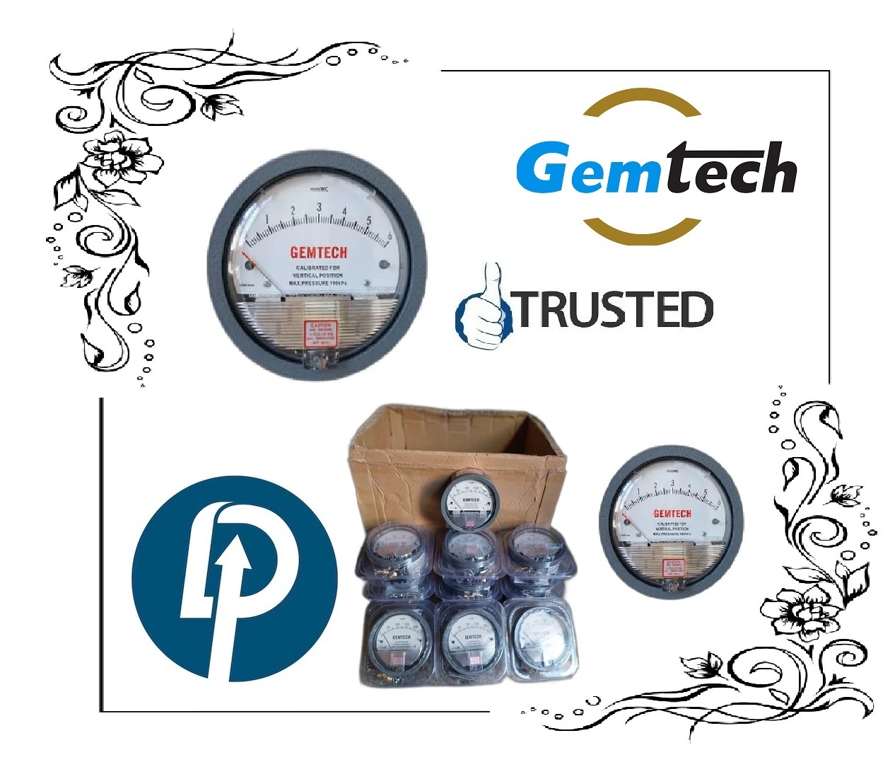 GEMTECH Series G2000-250 MM Differential Pressure Gauges by Range:0 to 250 MM WC